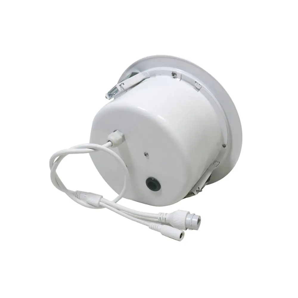 Ben & Fellows Dante network In ceiling Speaker