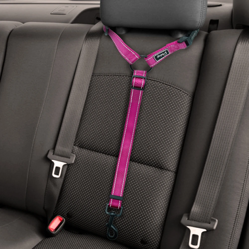 Must-Have Dog Car Seat Belt