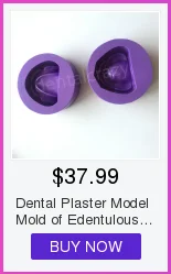 Alta Qualidade Dental Typodon Dentes Modelo - Ortodôntico Steelteeth M8017 32 Cheap Modelo de Ensino Dental