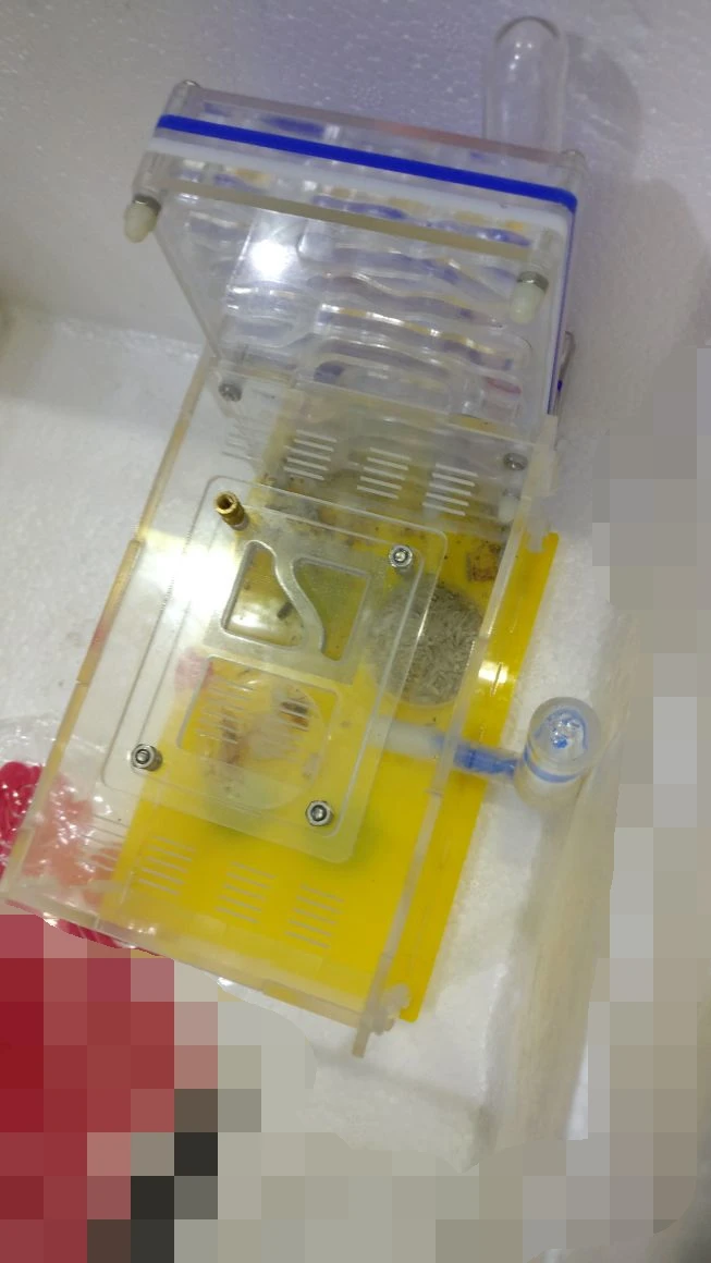 ant-nest-b1 (12)