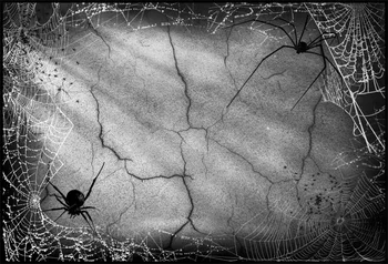 

Laeacco Gradient Solid Wall Spider Net Terrible Pattern Photo Backgrounds Customized Photography Backdrops For Photo Studio