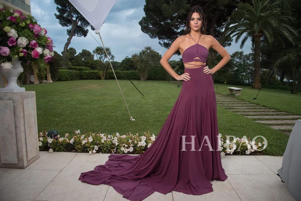 

Abendkleider 2018 Sexy Halter Two Piece Prom Long Purple Kendall Jenner Red Carpet Celebrity bridesmaid Dresses Free Shipping