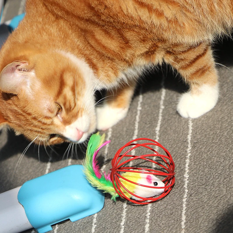 _20181122142648