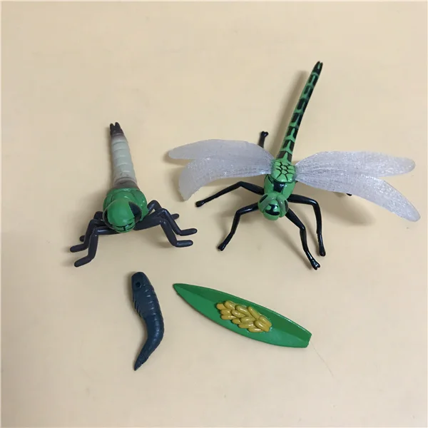 pvc figure model toy life circle 