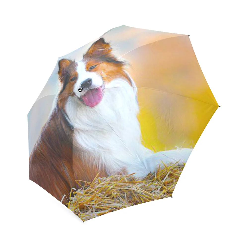 border collie umbrella