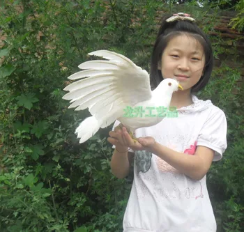 

simulation bird large 30x50cm peace bird ,dove model toy craft,photography,teaching props,garden decoration a1912