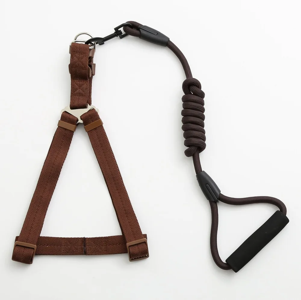 3993494678_1154377137