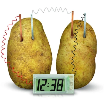 

Potato Clock Novel Green Science Project Experiment Kit Lab Home School Toy Funny Educational DIY Material for Children kids