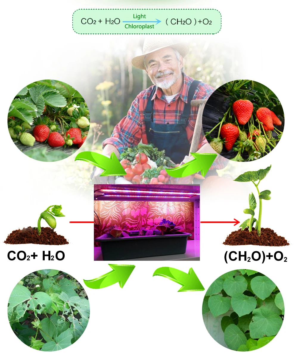 Светодиодный аквариумный светильник DC12V IP68 Водонепроницаемый 5730 светодиодный Grow светильник s для аквариума теплицы для выращивания растений, 5 шт./лот