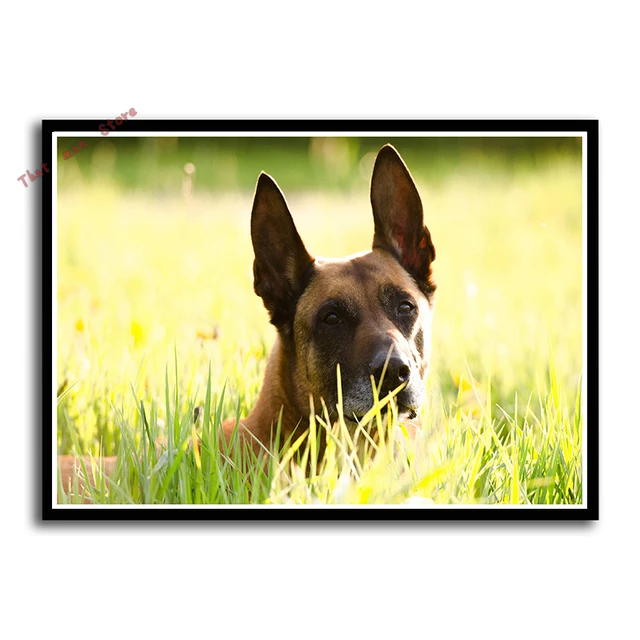 Funny Dog Art Prints Pet Puppy Hipster Animals Wall Paintings Nursery