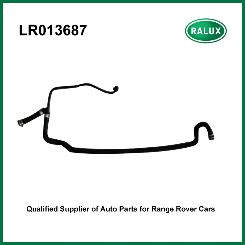 LR013687-_01