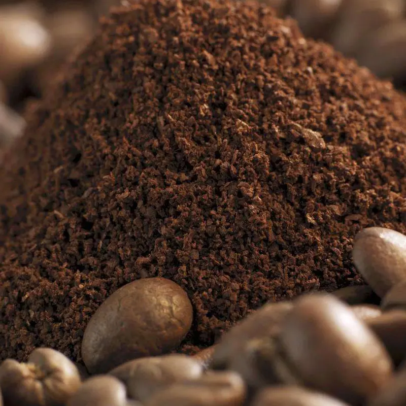 Coffee Grinder Coffee Maker Commercial Heavy Duty 350W High Power burr Coffee Grinder Electric Beans Nuts Grinders