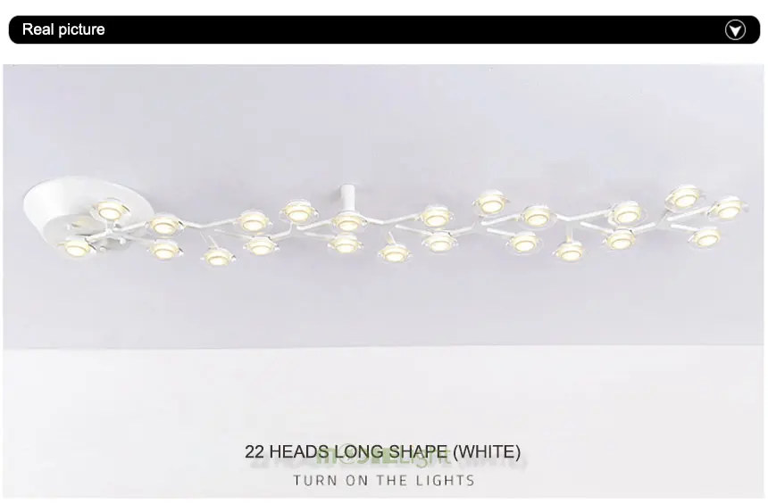Plum-blossom-ceiling_09