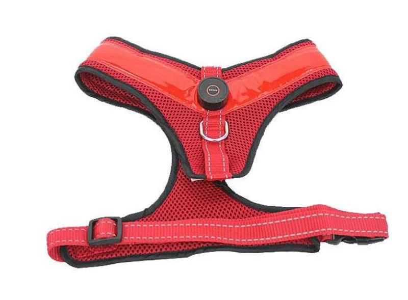 dog supplies  (9)