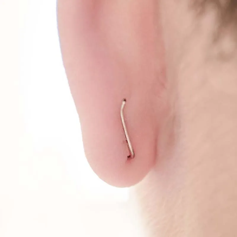 1 Pair Fashion Women's Leaves Crawler Ear Studs Leaf Vines Sweep Pin Earrings