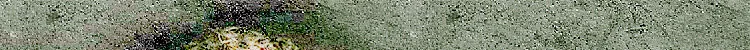gGqUif2gxdSGFuuy5MgY1Ff9P/HXcHx59P04
