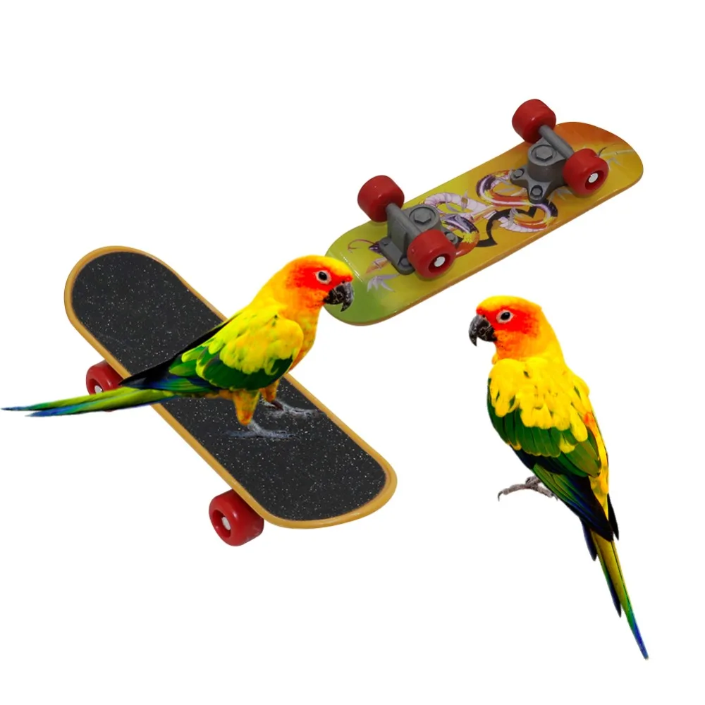 

1 Pcs Bird Parrot Intelligence Toys Mini Training Skateboard For Budgies Parakeet Growth Toy Pet Toy