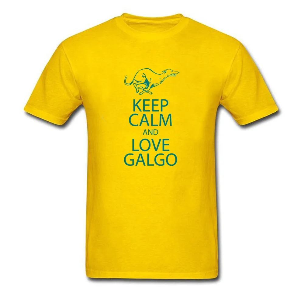 R0087-galgo_yellow