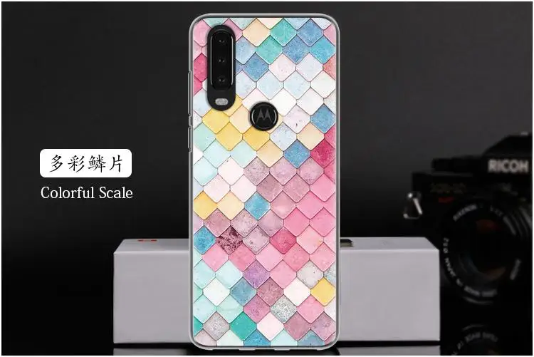 多彩鳞片 Colorful Scale