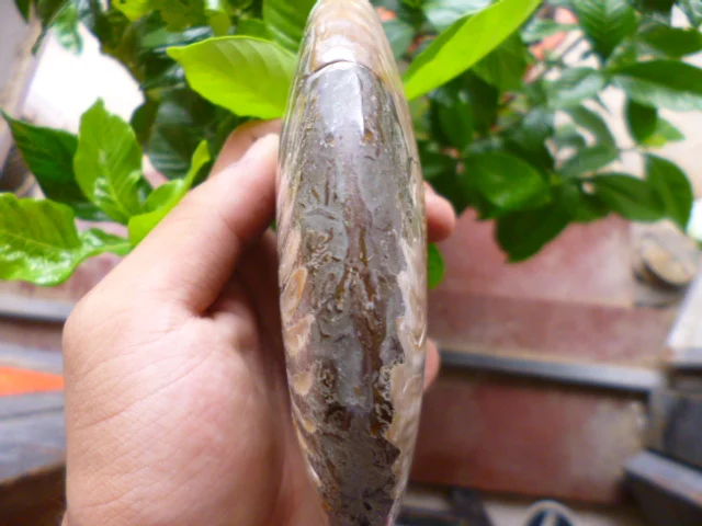 P1630118