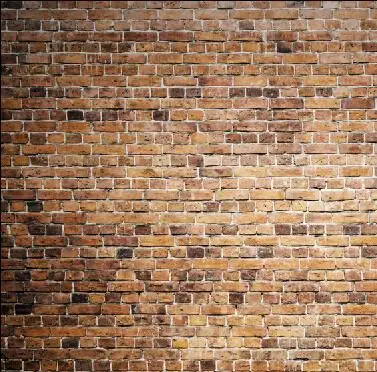 

SHENGYONGBAO 10x10ft Vinyl Custom Photography Backdrops Prop Wall theme Background HUC-032