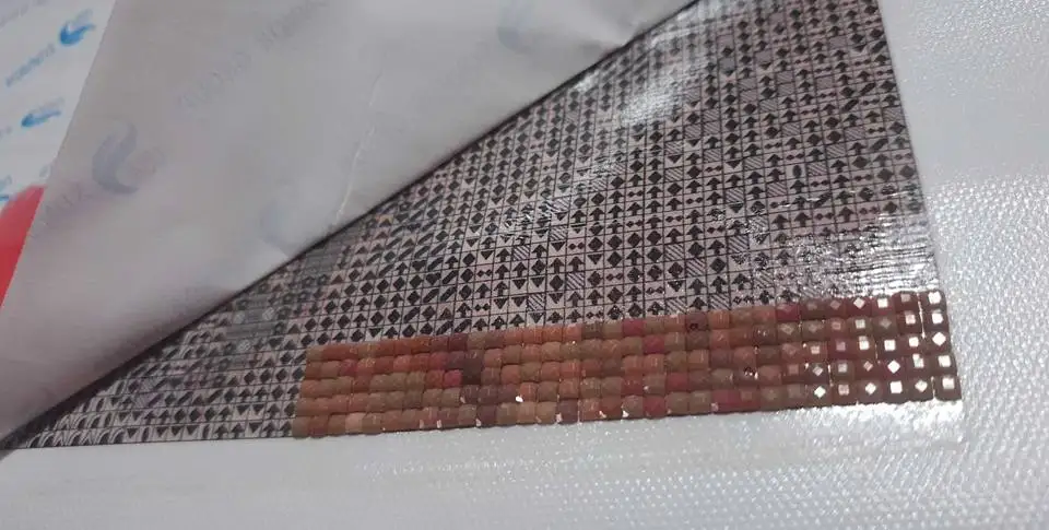 30261827_10214308726446529_6134947303791977732_n