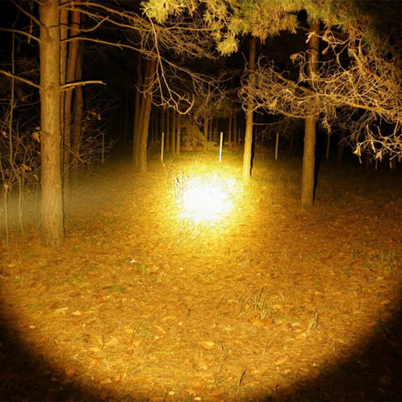 SD02W-0012_0_