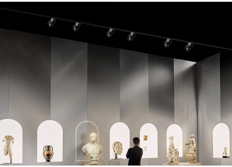 COB LED Track Light 4 Wires 3 Phase LED Rail Lamps 360 Degree Rotatable LED Track Lighting for Home Stores Shop (4)