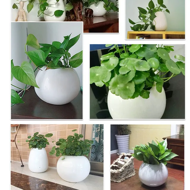New Desgin white vase ceramic Hydroponics Vase Modern Pure And Fresh Hydroponic Flowers Sitting Room Decoration 6