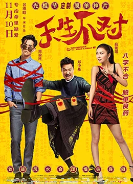《天生不对》2017年中国大陆喜剧,爱情电影在线观看