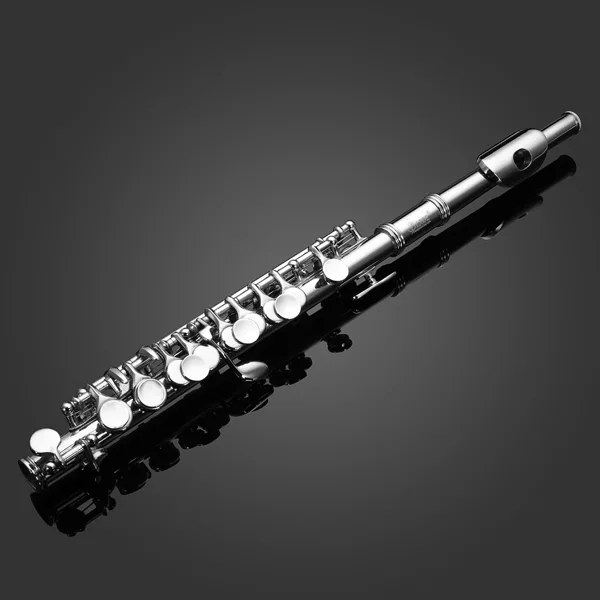 LADE посеребренный C пикколо-флейта с Чехол музыкальный инструмент