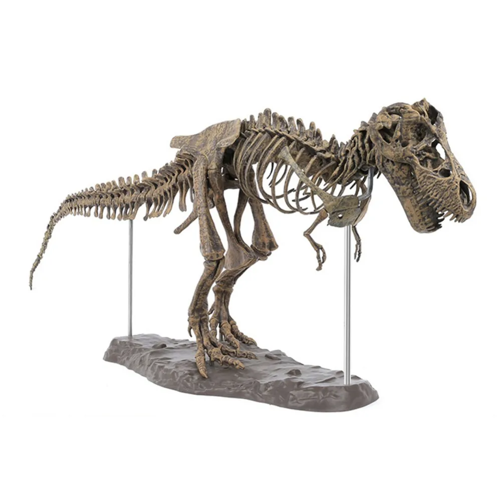 Tyrannosaurus Rex Skeleton Dinosaur T Animal Model Toys Collector Super Decoration | Дом и сад
