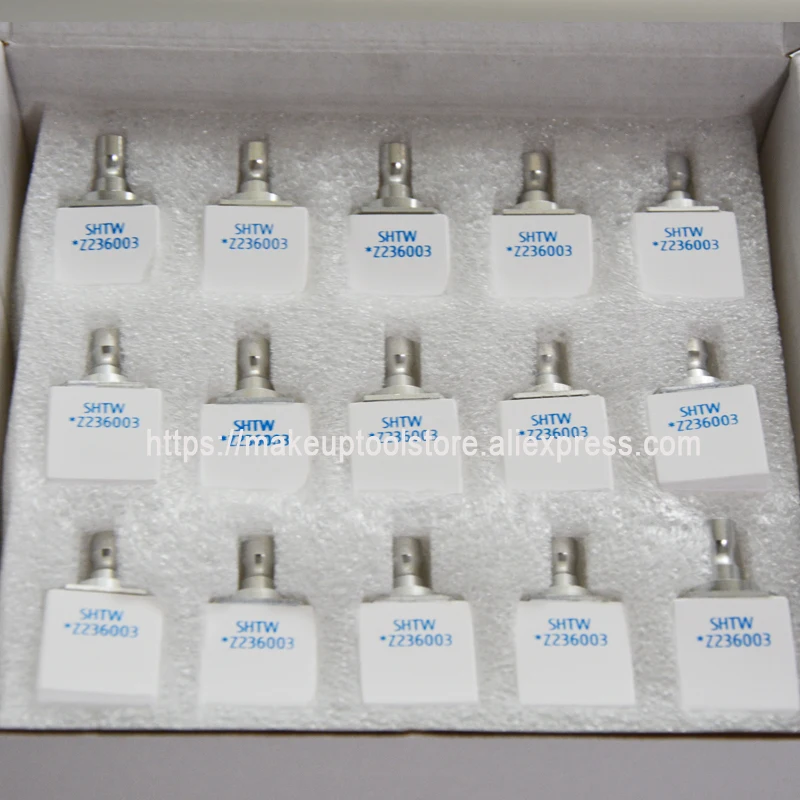 zirconia2