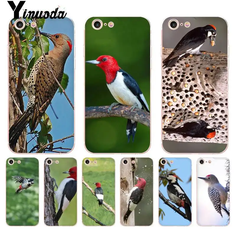 Yinuoda для iPhone 7 6 X Чехол Дятел птица Прозрачный чехол мобильного телефона 6s 7plus 8 8Plus