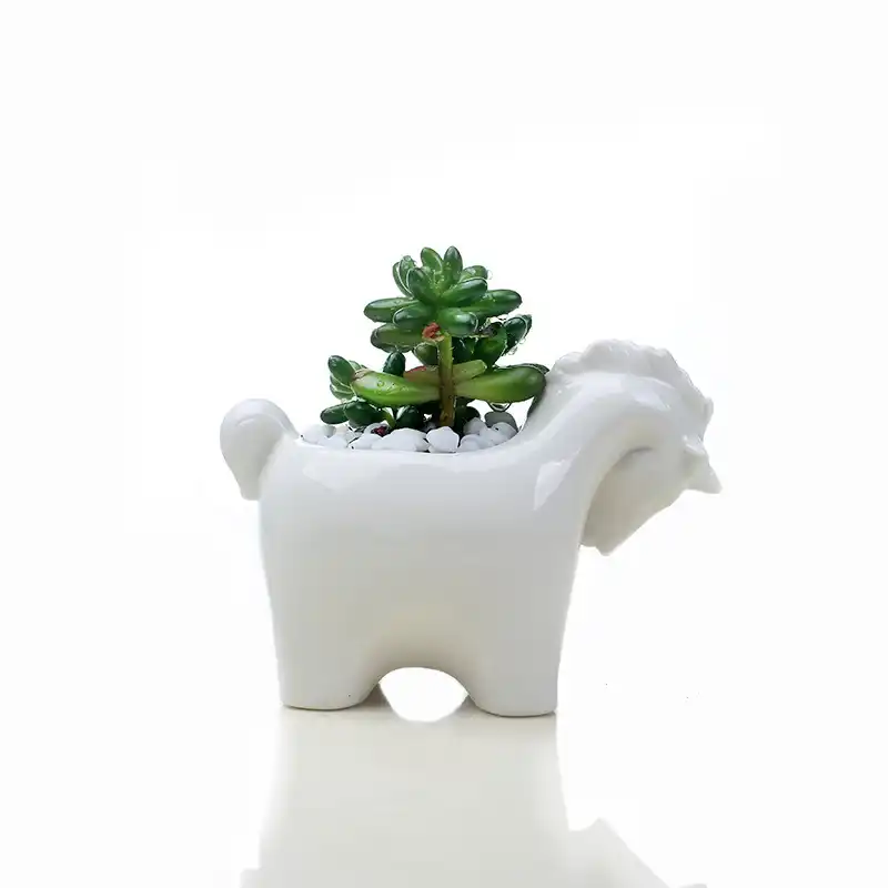 Pot De Fleurs En Ceramique Pour Fleurs Petit Pot De Fleurs Licorne Cheval Blanc Jardiniere Succulente Pot De Fleurs Pour Jardin De Bureau Vitre Pour Fleurs Aliexpress