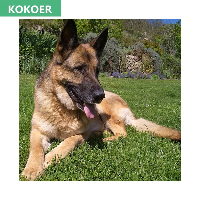 

2017 DIY Diamond Painting square diamonds Resin Mosaic Diamond embroidery Shepherd 5D Icon Needlework Decor Pattern Paintings