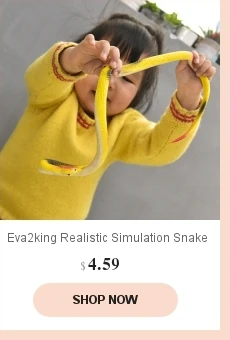 dianxiaobao