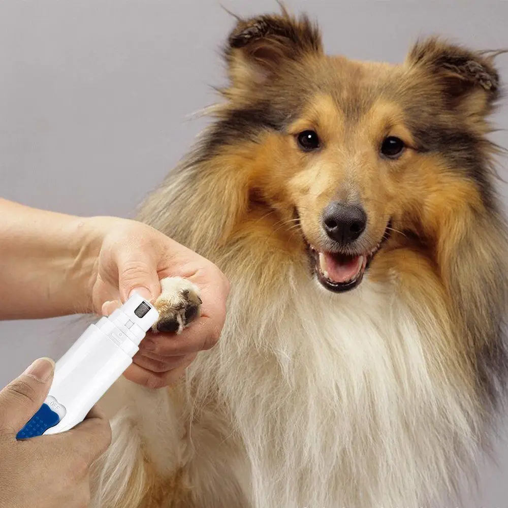 

Portable Size Electric Nail Grinder Nails Grooming Tool For Pet Dogs Cats New Nailclippers