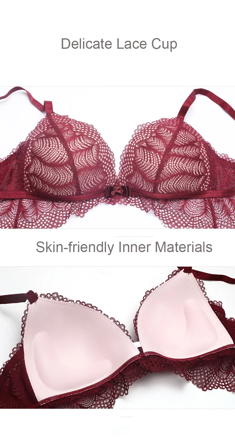 bra sexy lace24