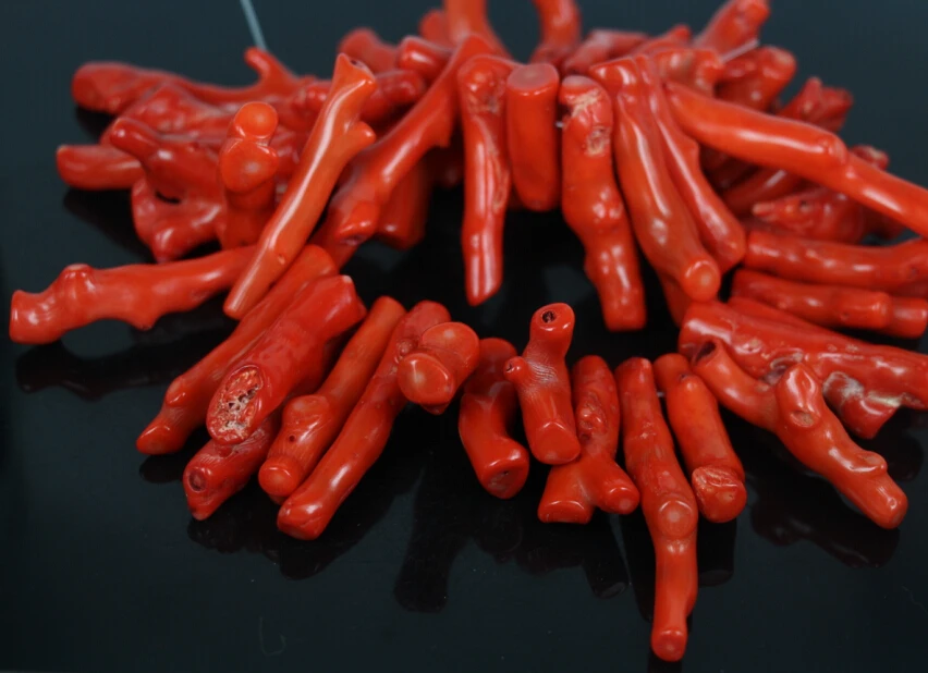 

15.5"strand Natural Orange Red Bamboo Coral Branch Top Drilled Beads,Coral Long Pikes Tribal Necklace Beads Jewelry Supplies