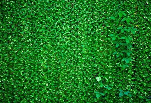 Весенний Зеленый лист Луг фон джунгли для вечеринки в стиле сафари украшения фотографии фон для фотостудии фотобудка для фотосессии - Цвет: 5