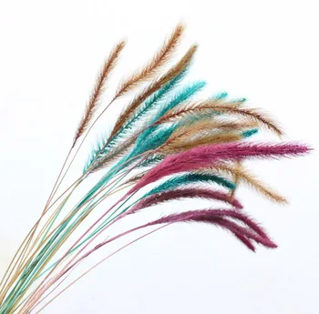 

100pcs Dried Setaria Viridis Flowers Preserved Flower For Wedding Party Home Hotel Decoration DIY Bouquet Accessory
