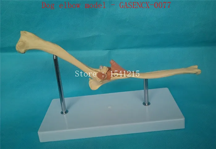 GASENCX-0077-4