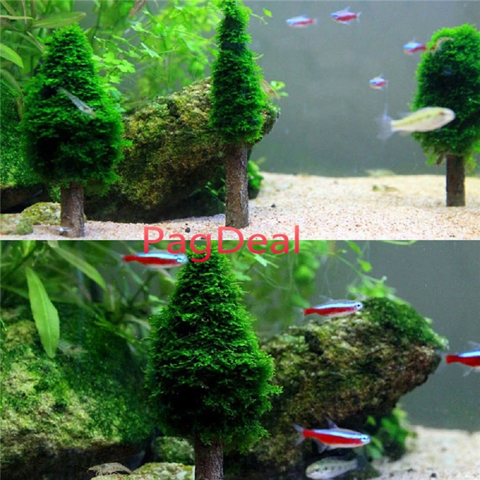 moss xmas tree0