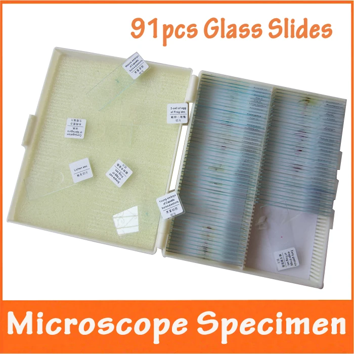91pcs Professional Glass Prepared Microscope Slides Bio Microscope