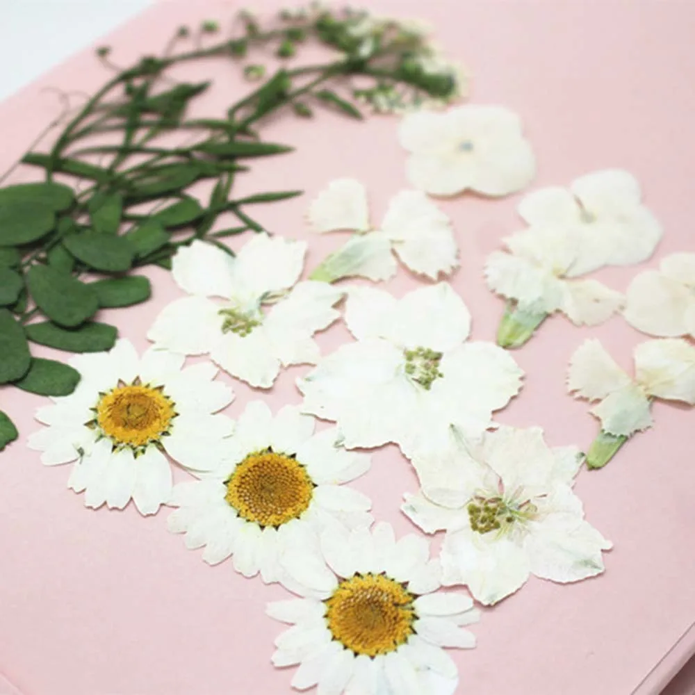 

Pendant Craft Pink Natural Starry DIY Crystal Epoxy Dried Flower Combination Molds For Making Finding Accessories Crystal Drip