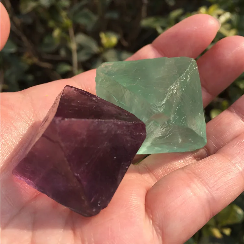 IMG_9508