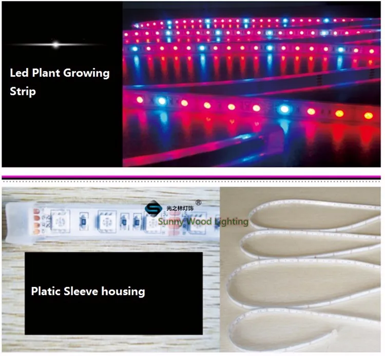 5 м/roll светодио дный Растениеводство полосы, 12 В 5050 красный синий ленты 4:1, 5:1, 7:1, 8:1, аквариум парниковых завод IP67 водонепроницаемые ленты