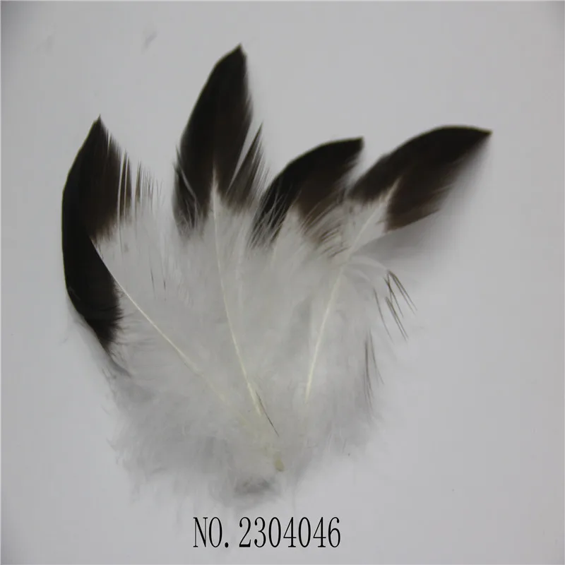 mtxx109