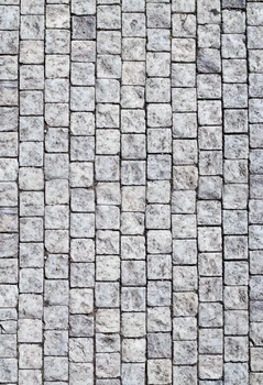 

gray Stone wall background Photogrpahy backdrops children background newborn props photo booth backdrops photo shoot Xt-6657